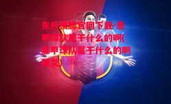 东升棋牌官网下载-意甲球队是干什么的啊(意甲球队是干什么的啊英文)